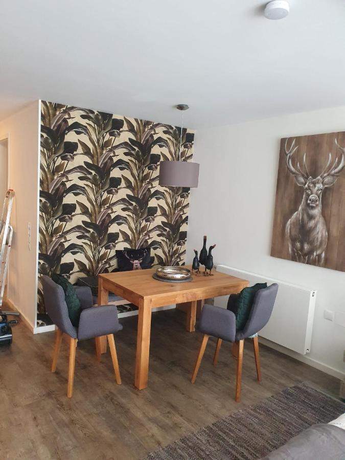 Maurers Schlierseetraum 6, Studio 455 mit 42 qm neu renoviert, Erdgeschoss mit Terrasse in ruhiger Lage am Kirchbichlweg 8 Exterior foto